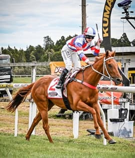 The Kumara Races – Gold Nuggets